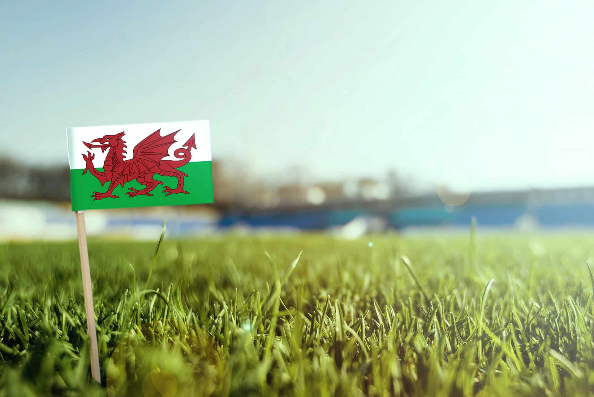 Welsh dragon golf flag on a putting green